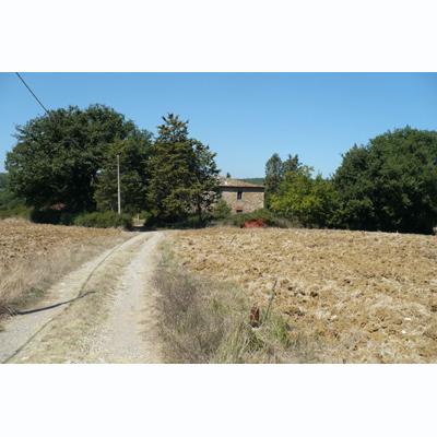 Farm/Ranch For sale in Pergine Valdarno, Arezzo, Italy